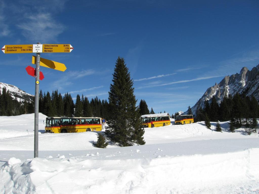 Chalet-Hotel Schwarzwaldalp Meiringen Exterior foto